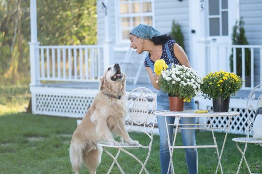 Go Green This Spring with BayFirst