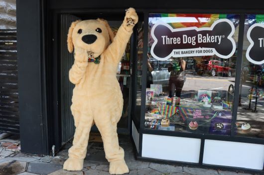 Celebrate Small Business Saturday